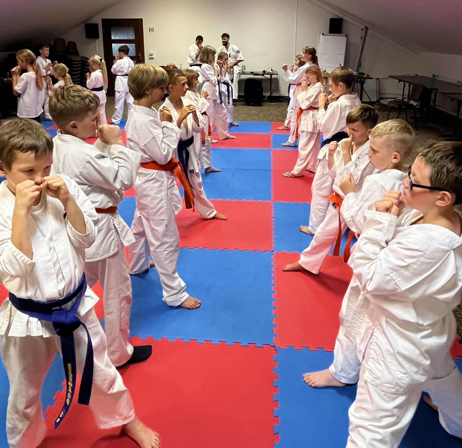 karatecy przygotowanie do walki